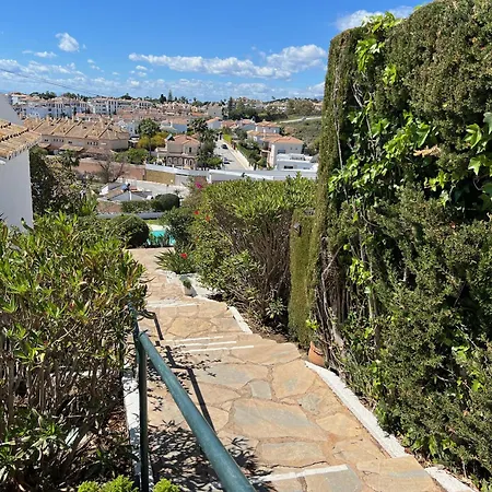 Casita Agave